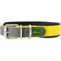 Preview: Hunter collar convenience various colors and sizes